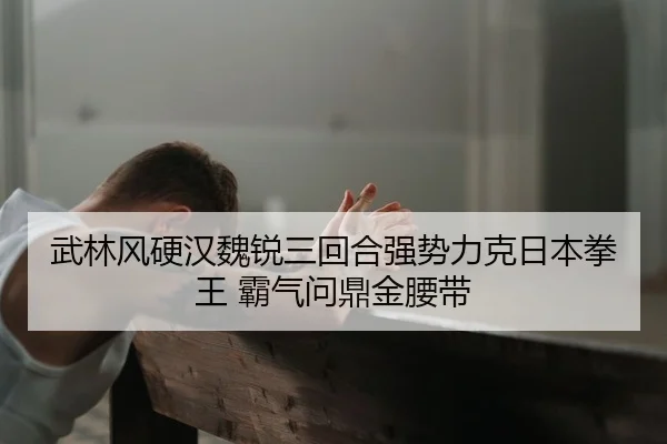 wu-lin-feng-ying-han-wei-rui-san-hui-he-qiang-shi-li-ke-ri-ben-quan-wang-ba-qi-wen-ding-jin-yao-dai-2-288.jpg